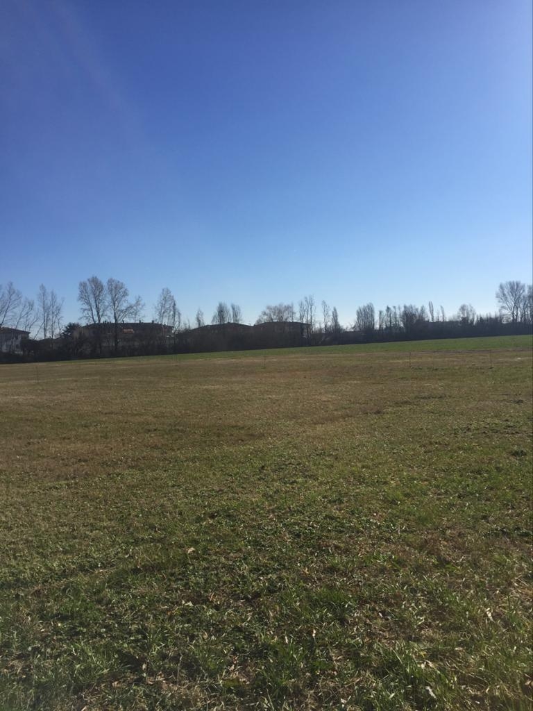 Terreno Edificabile Residenziale in Vendita a  San Vincenzo