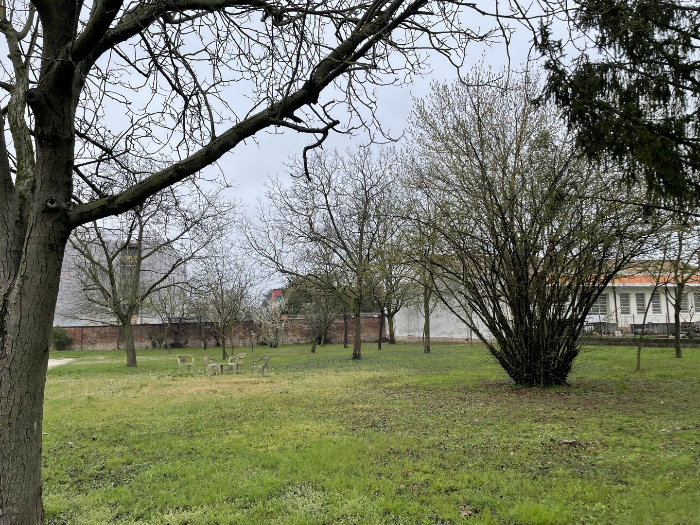 Terreno Edificabile Residenziale in Vendita a Cento
