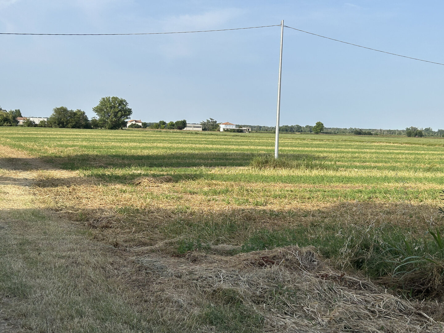 Appartamento in vendita a Malalbergo