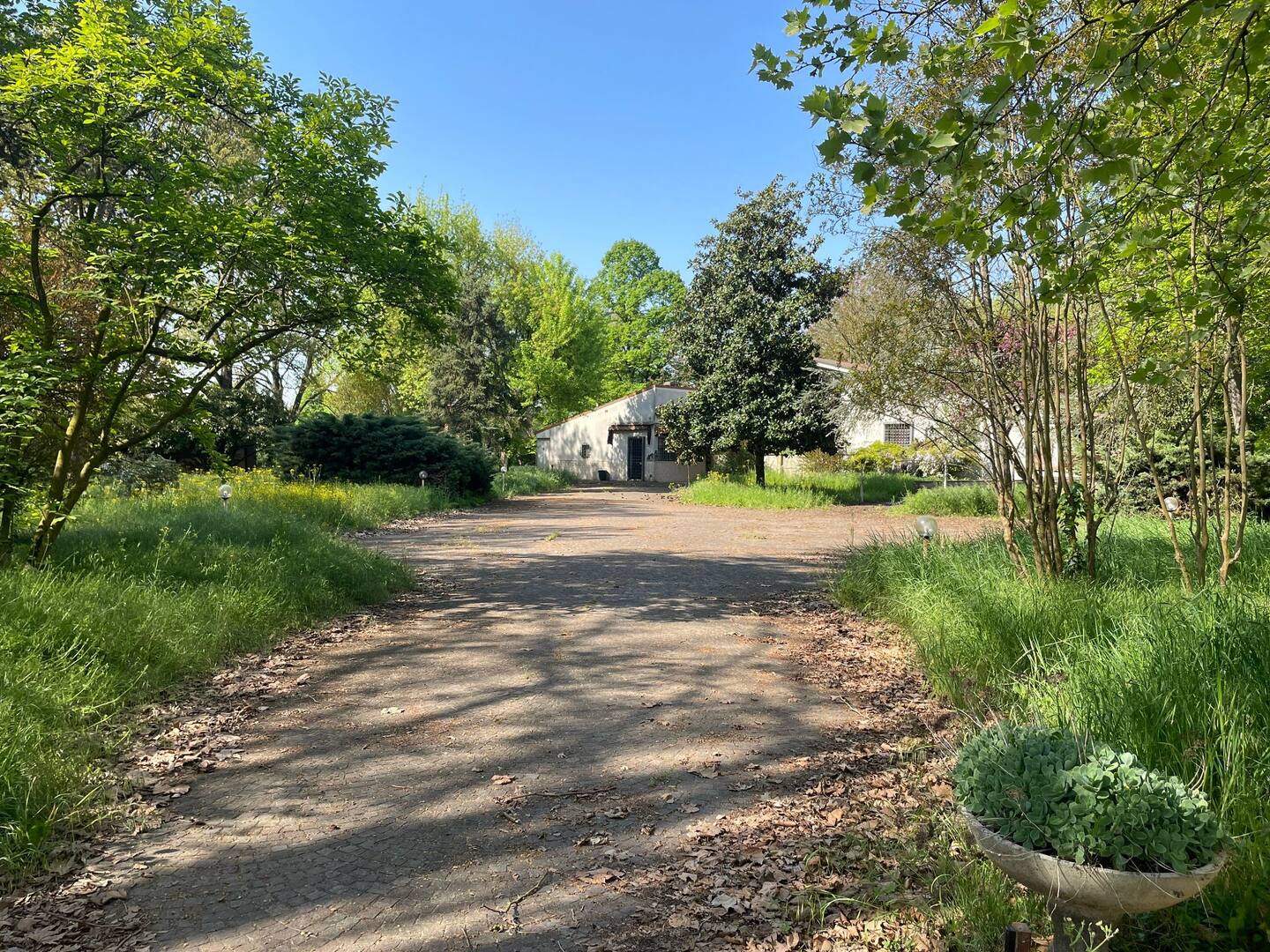 Abitazione singola in zona Villa Fulvia