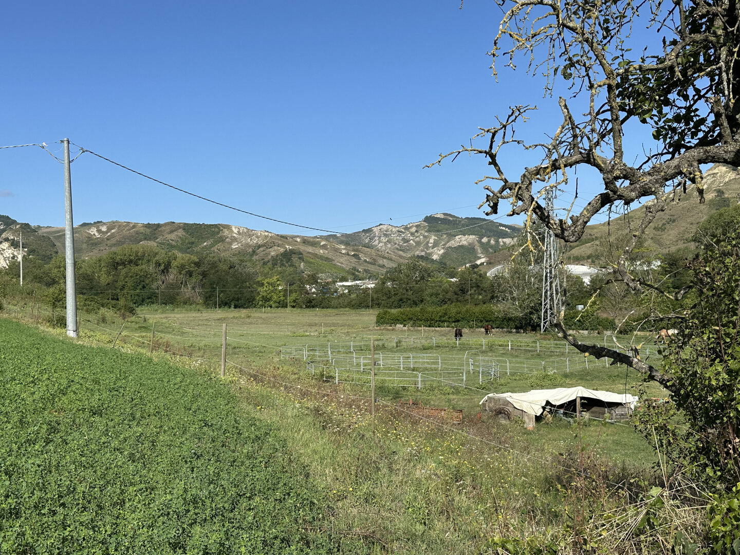 Terreno in vendita a Borgo Tossignano