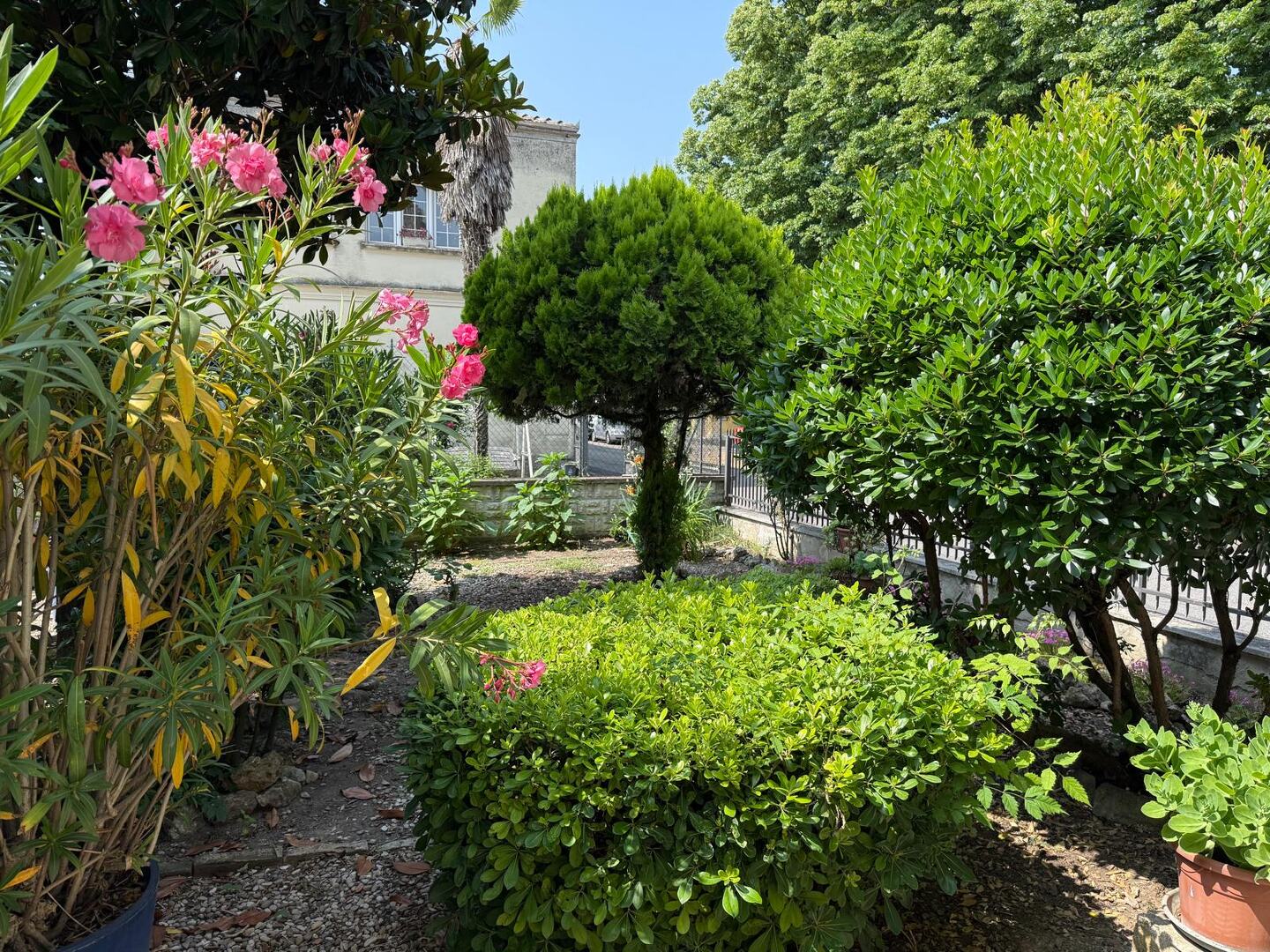 Appartamento in affitto a San Pietro in Casale