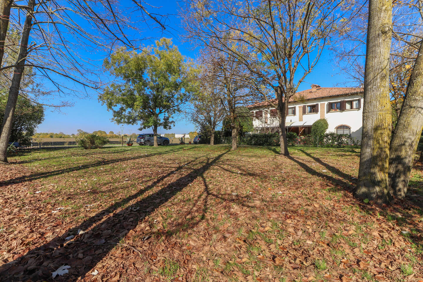 Appartamento in vendita a Castel Maggiore