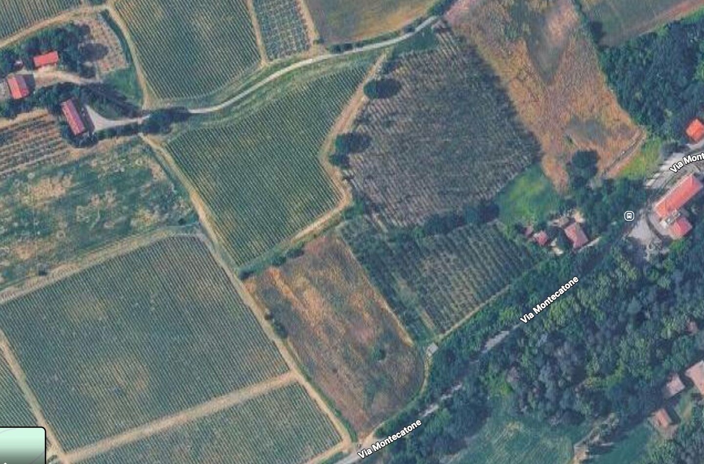 Vendita terreni agricoli con frutteto in produzione